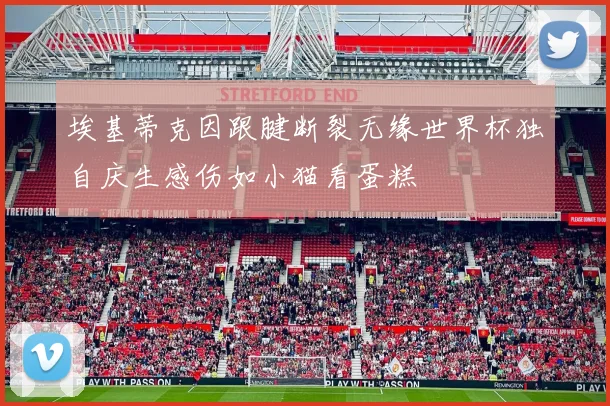 埃基蒂克因跟腱断裂无缘世界杯独自庆生感伤如小猫看蛋糕