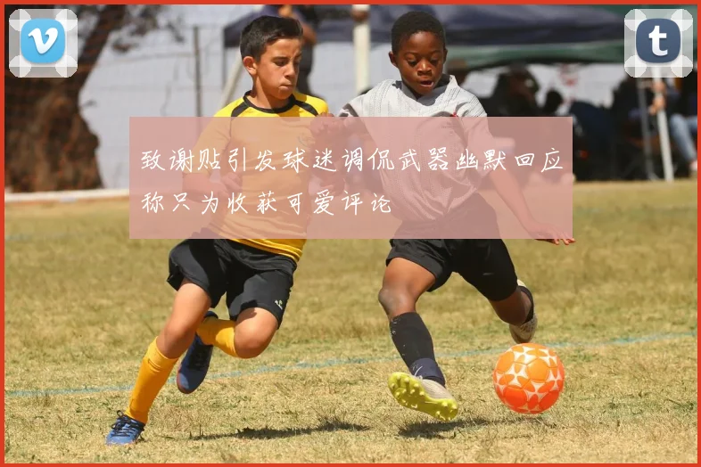 致谢贴引发球迷调侃武器幽默回应称只为收获可爱评论